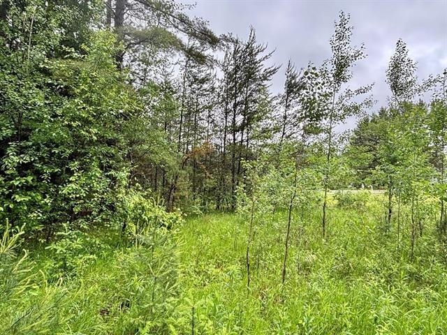 1.03-acres County Rd X Schofield, WI 54476 - Photo 5 of 10