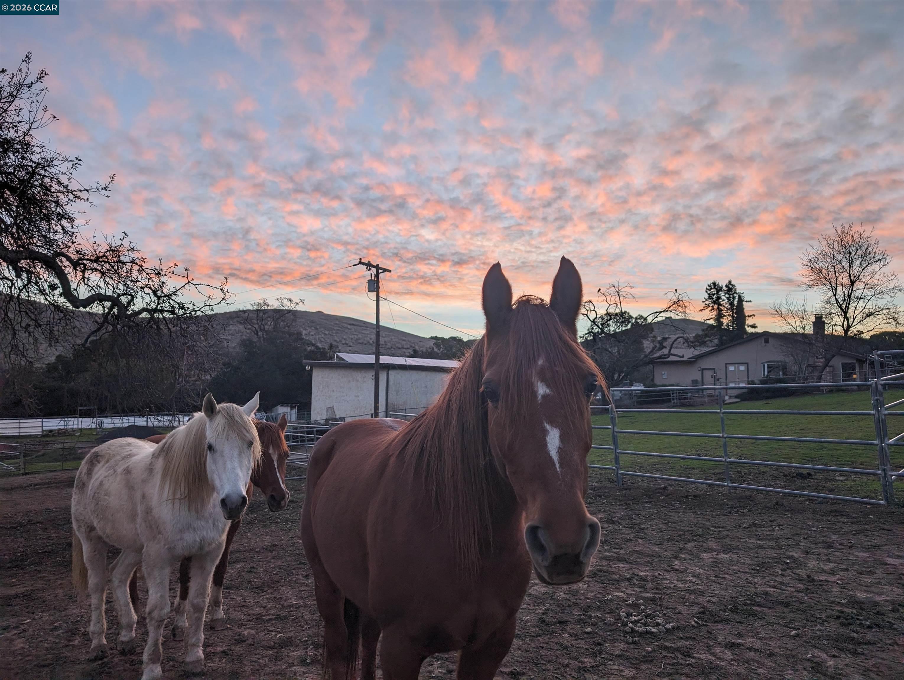 9530 Morgan Territory Road Livermore, CA 94551 - Photo 43 of 55