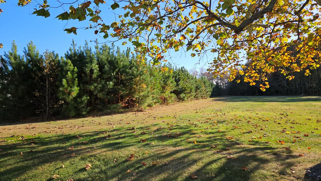34 A Cherrystone Road, Unit 34A Cape Charles, VA 23310 - Photo 4 of 6