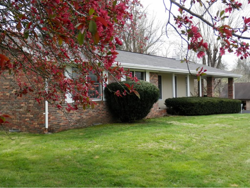 219 Capitol Road Jonesville, VA 24263 - Photo 2 of 23 Large Yard Easy Care