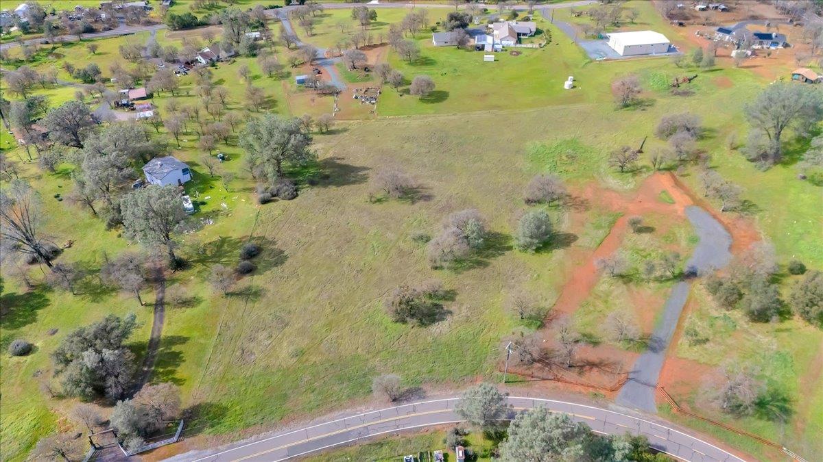 622 Pinon Drive Copperopolis, CA 95228 - Photo 11 of 48 a view of a painting of a tree