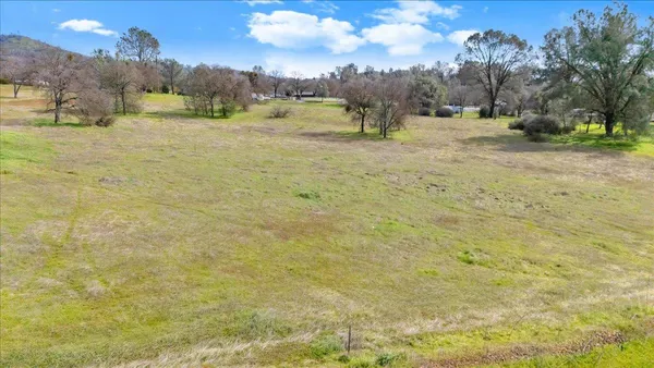 a view of a yard with an trees