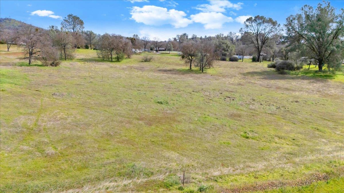 622 Pinon Drive Copperopolis, CA 95228 - Photo 12 of 48 a view of a yard with an trees