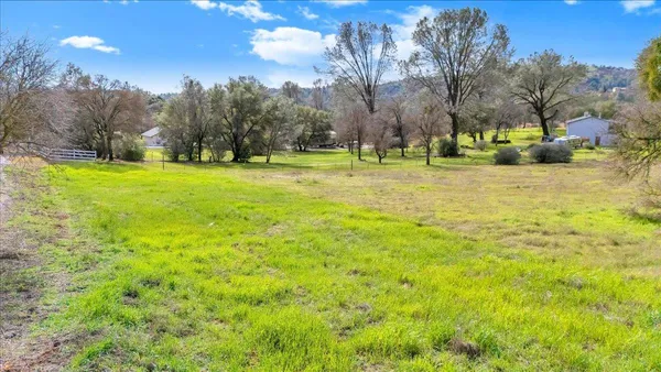 a view of a yard with a house