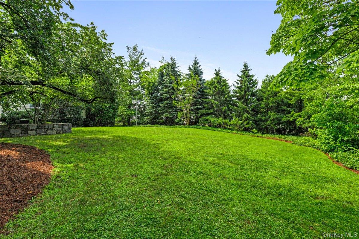 731 Forest Avenue Rye, NY 10580 - Photo 6 of 11