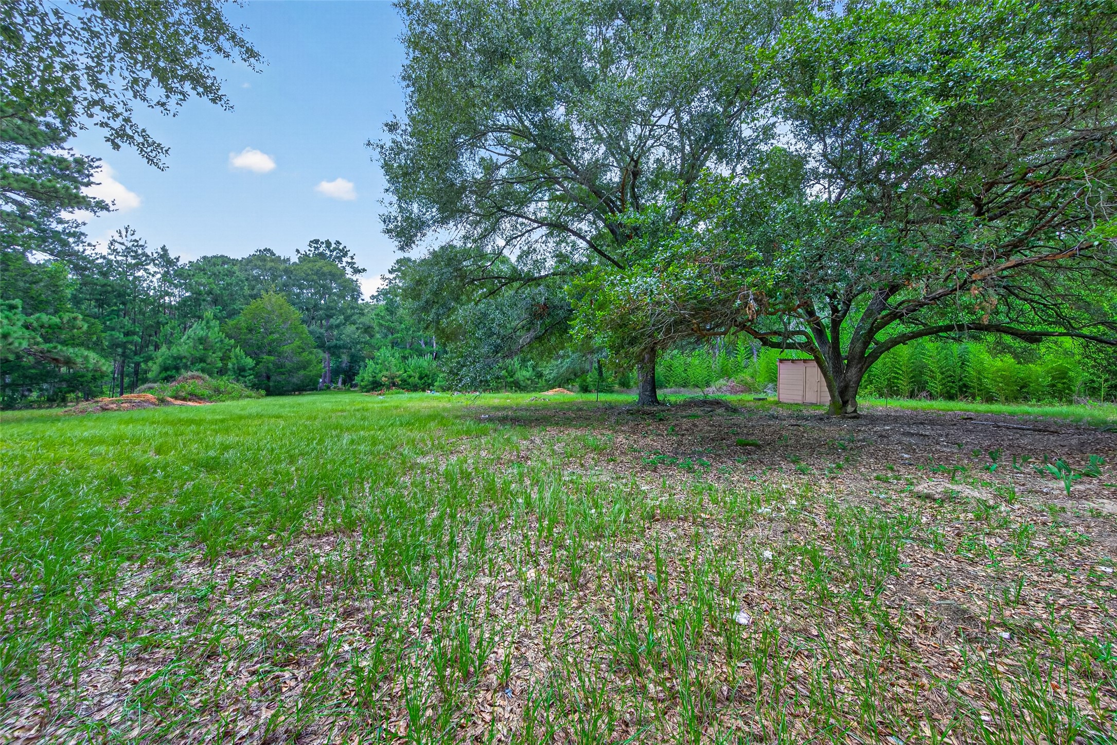 1241 Moody Road Cleveland, TX 77328 - Photo 27 of 47
