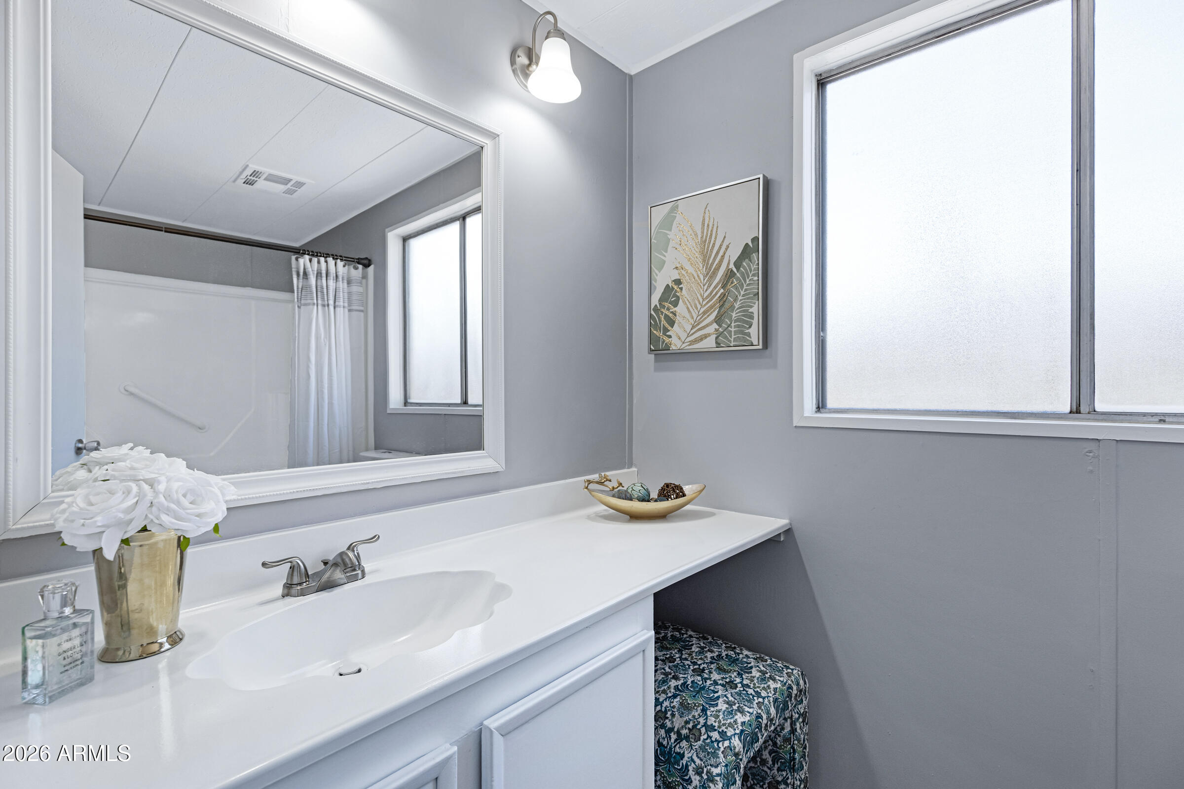 201 South Greenfield Road, Unit 269 Mesa, AZ 85206 - Photo 9 of 18 a bathroom with a sink and a mirror