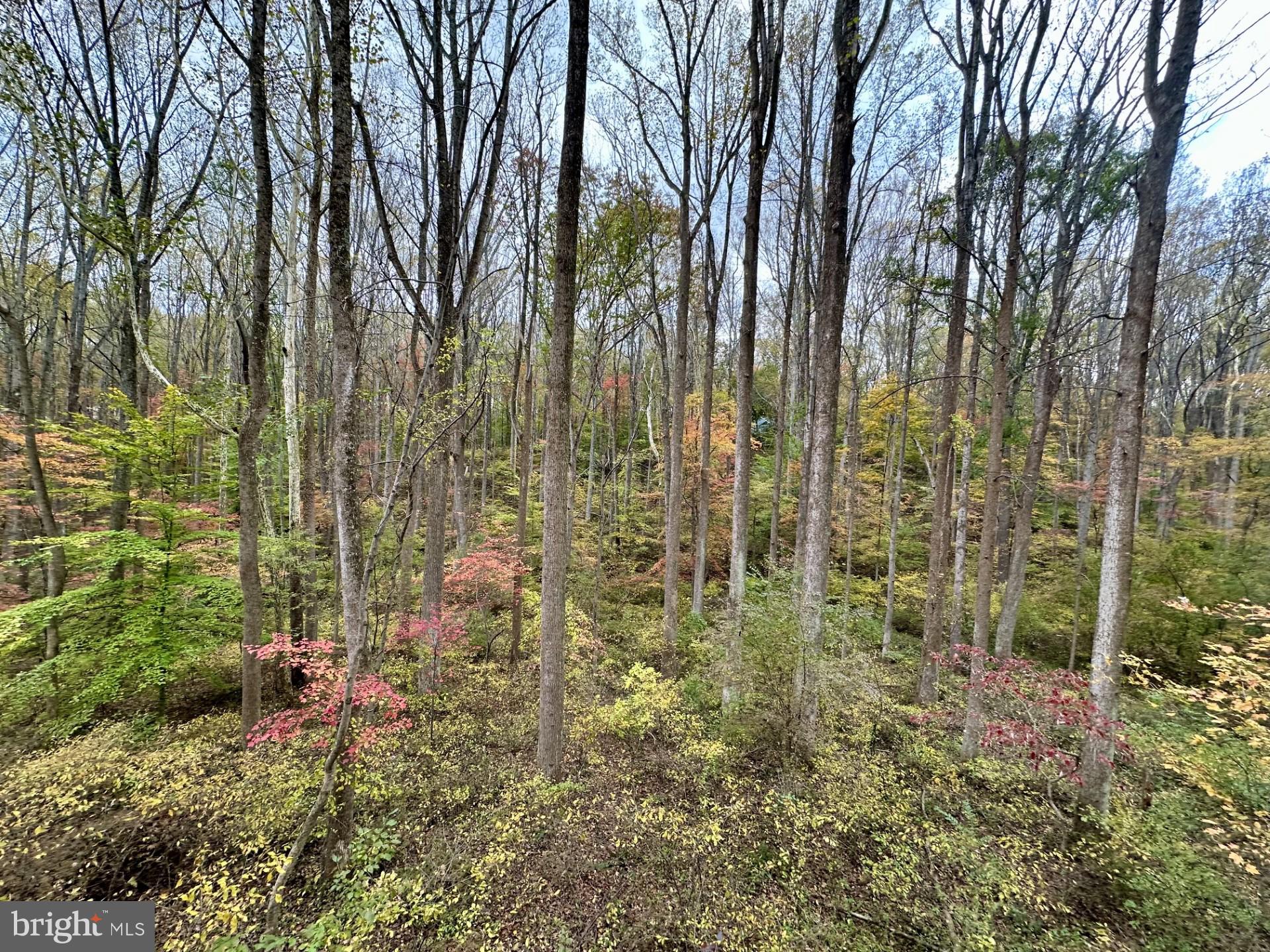 7049 Mink Hollow Road Highland, MD 20777 - Photo 64 of 72