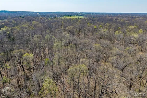 $168,000 | Tbd Dade Road, Lebanon, MO 65536