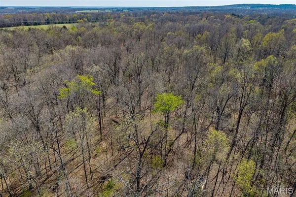 $168,000 | Tbd Dade Road, Lebanon, MO 65536