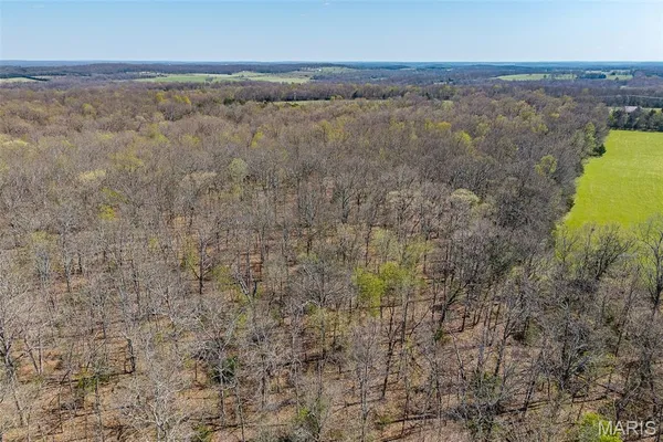 $168,000 | Tbd Dade Road, Lebanon, MO 65536