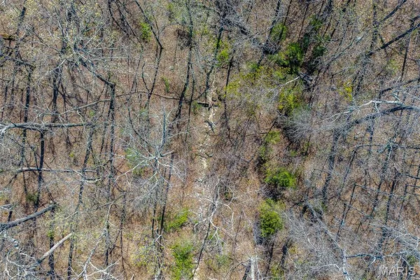 $168,000 | Tbd Dade Road, Lebanon, MO 65536