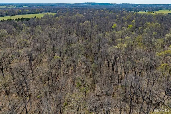$168,000 | Tbd Dade Road, Lebanon, MO 65536