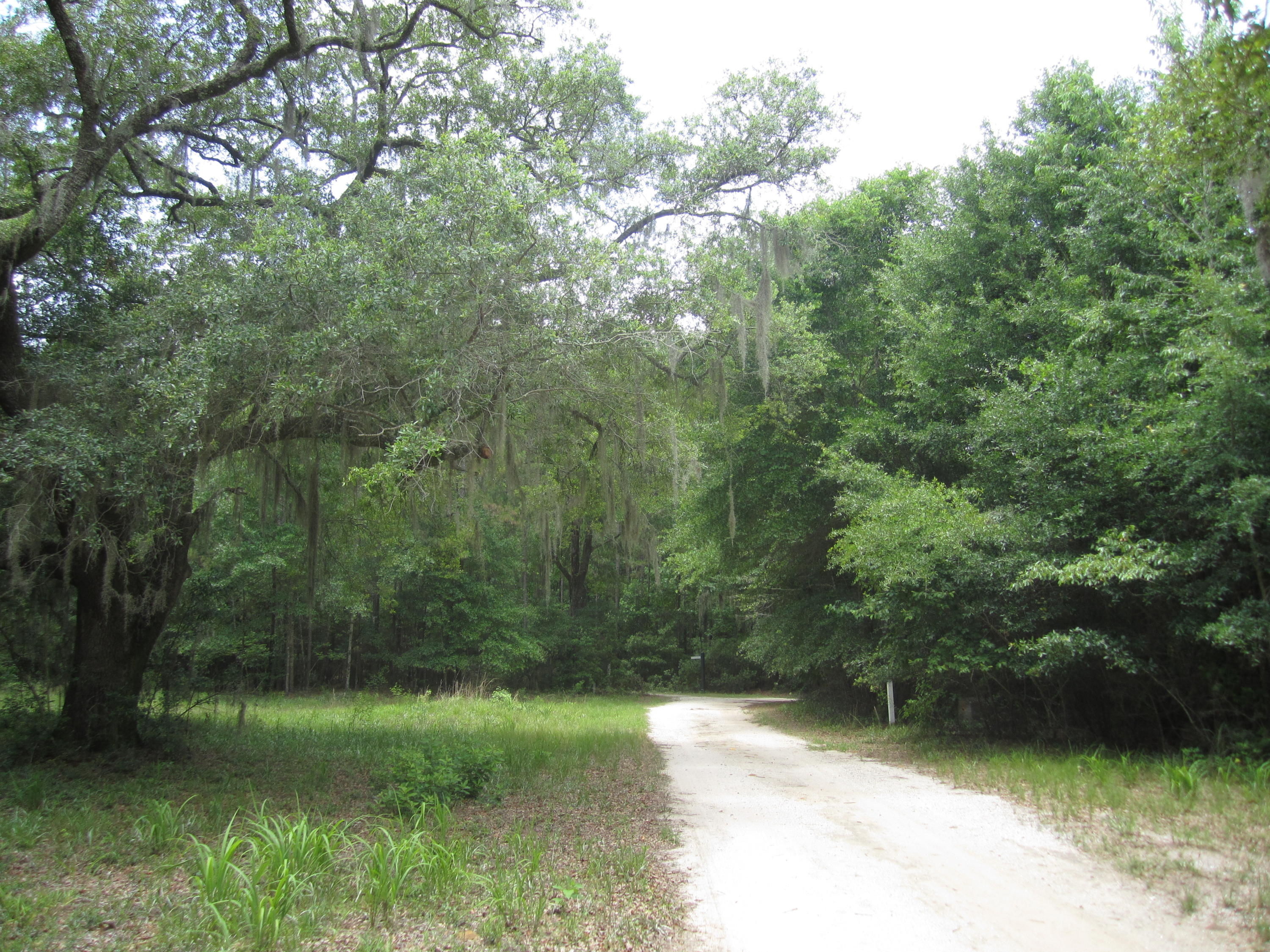 2 Bears Bluff Road Wadmalaw Island, SC 29487 - Photo 12 of 13 035
