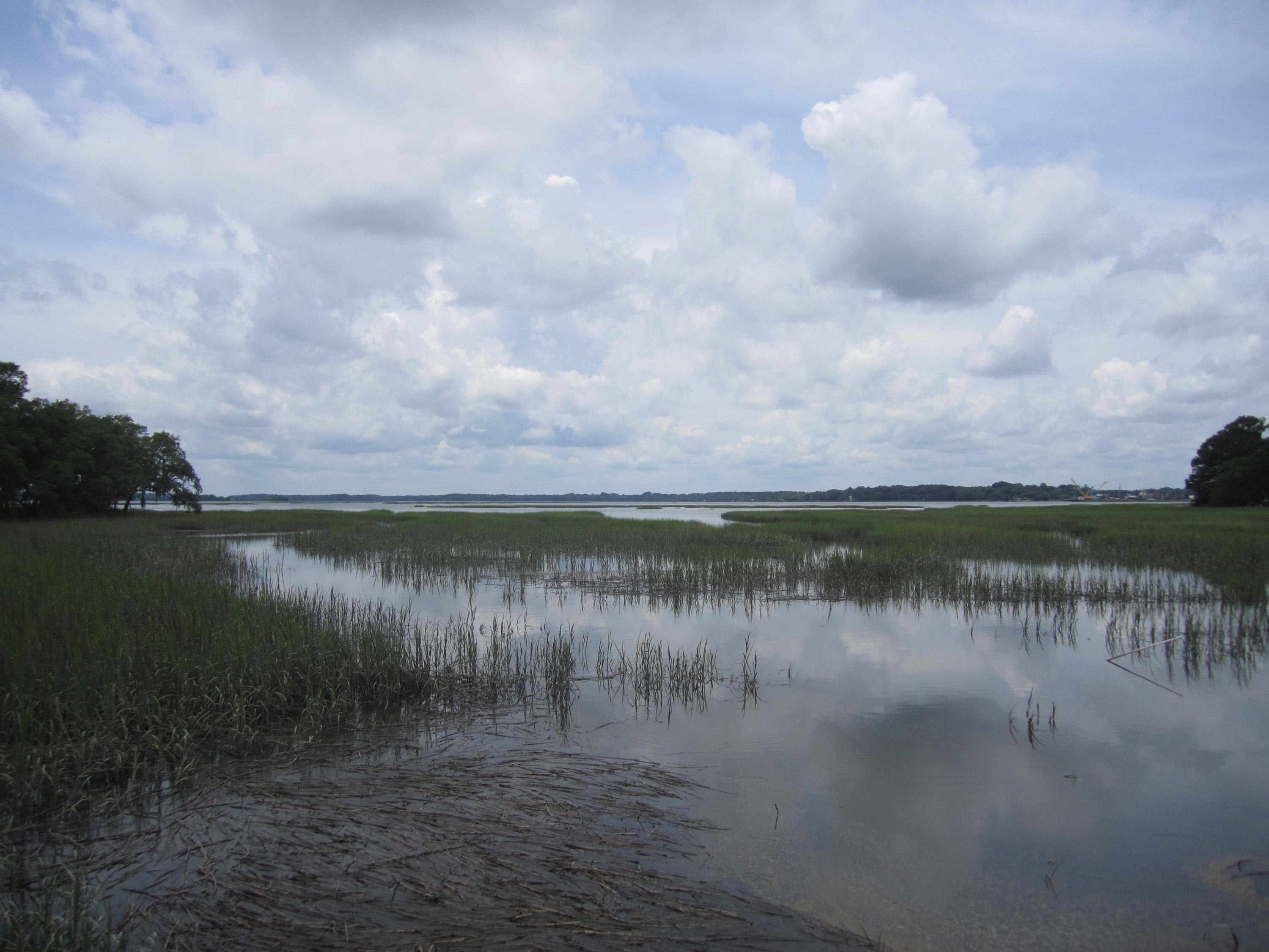 2 Bears Bluff Road Wadmalaw Island, SC 29487 - Photo 3 of 13 006