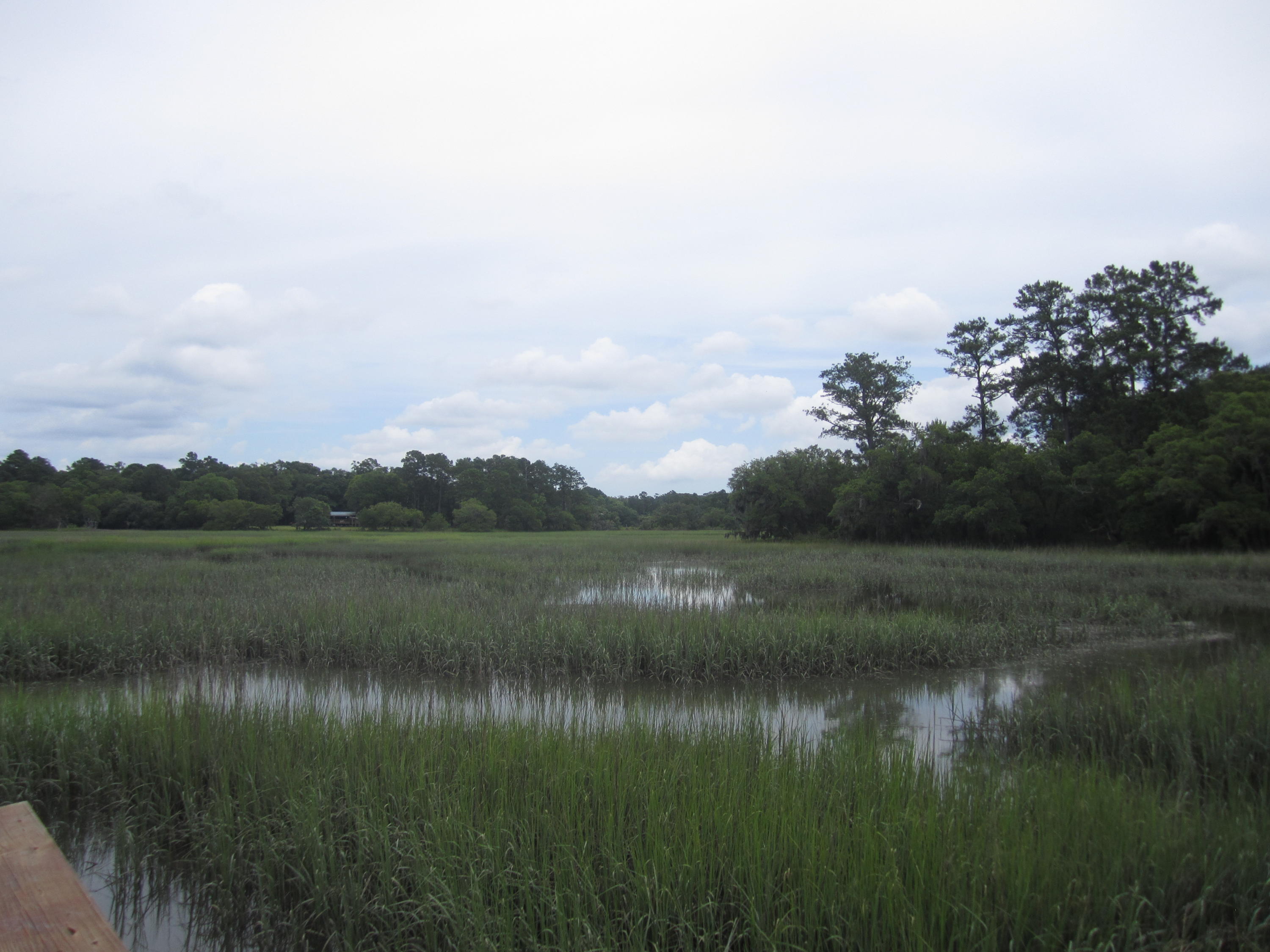 2 Bears Bluff Road Wadmalaw Island, SC 29487 - Photo 4 of 13 012