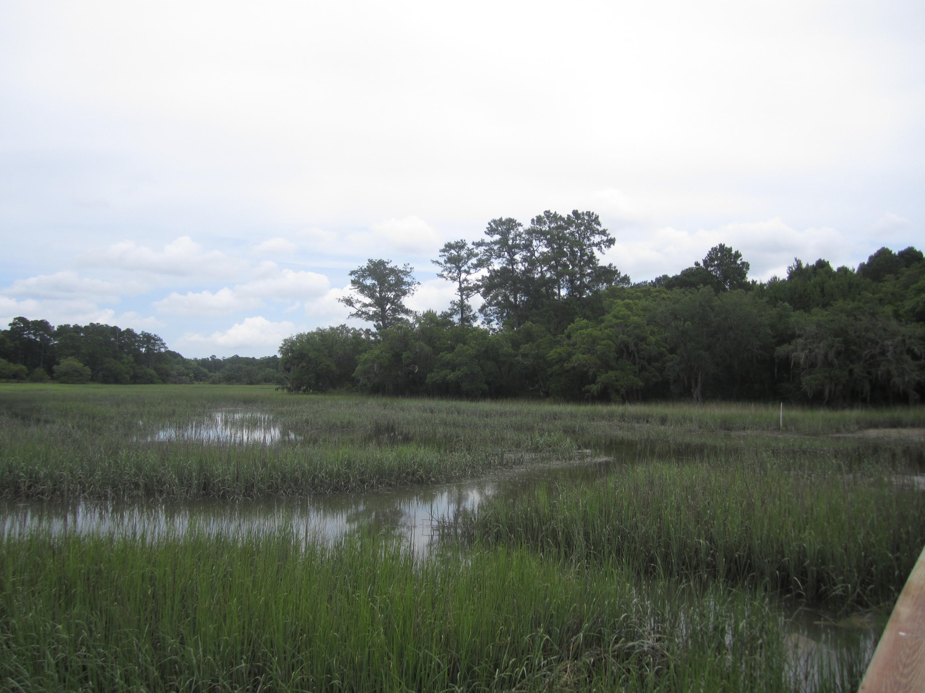 2 Bears Bluff Road Wadmalaw Island, SC 29487 - Photo 5 of 13 013