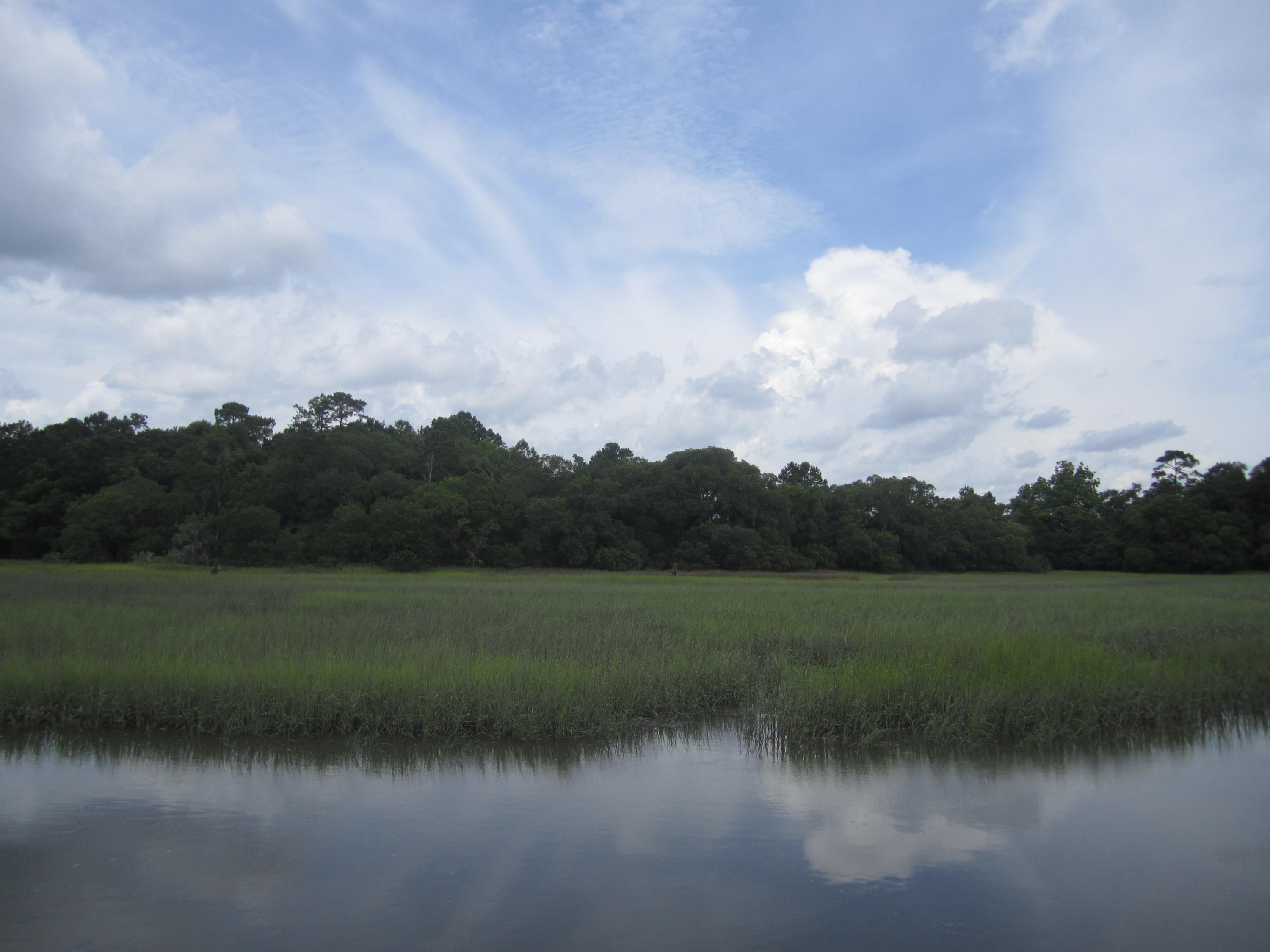 2 Bears Bluff Road Wadmalaw Island, SC 29487 - Photo 6 of 13 020
