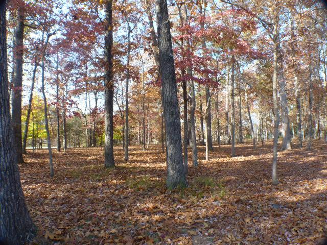 766 Dripping Springs Road Winchester, TN 37398 - Photo 15 of 17 This home is located on 2.5 Acres.