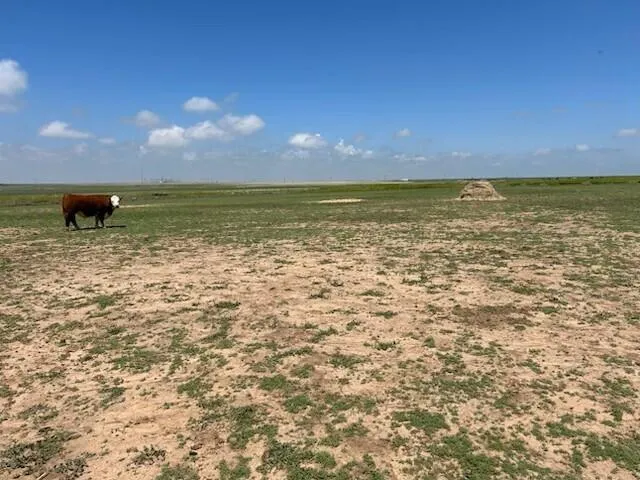 $390,000 | 20600 West Farmers Avenue, Amarillo, TX 79119