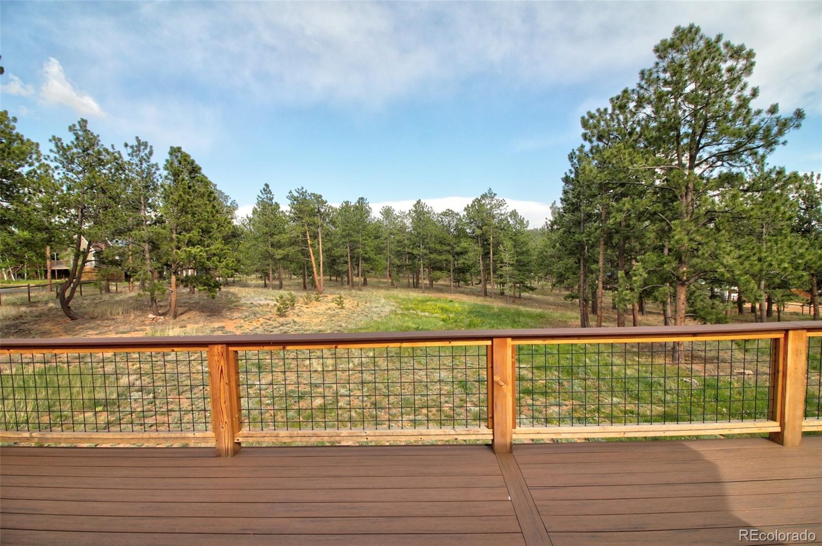 850 Hangmans Road Bailey, CO 80421 - Photo 36 of 40