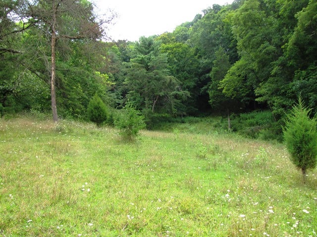 Stinking Lick Creek Road Ballard, WV 24918 - Photo 8 of 16 Gallery Image 8