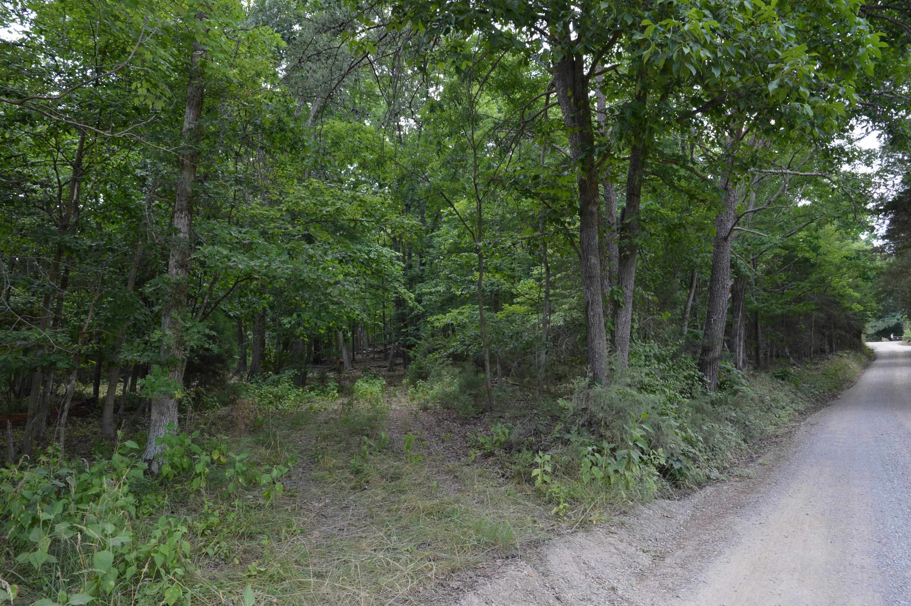 Tbd Paris Mountain Road Elliston, VA 24087 - Photo 1 of 11 Gallery Image 1