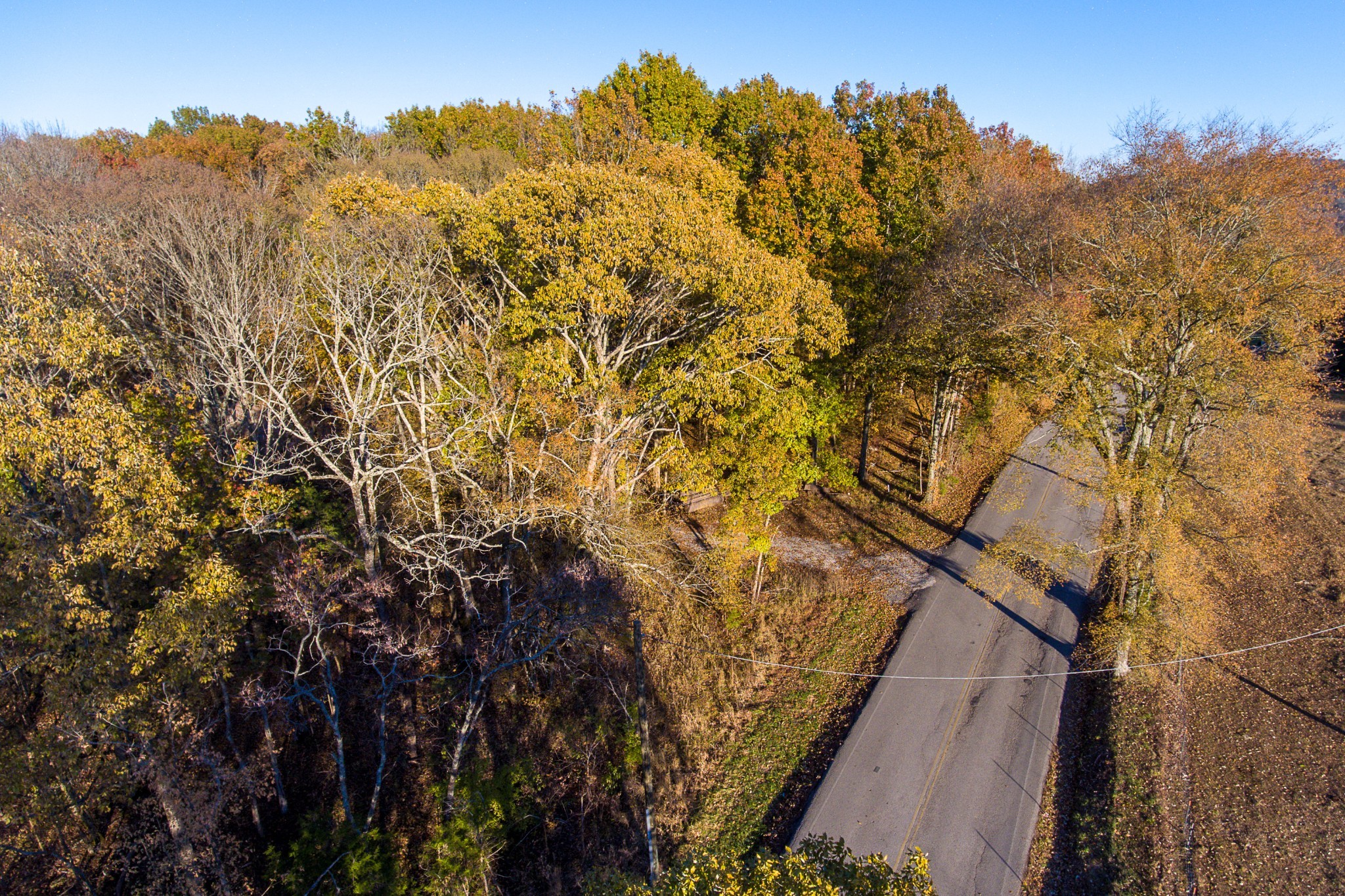 6210 Meeks Road Franklin, TN 37064 - Photo 1 of 4 a view of a yard with a tree