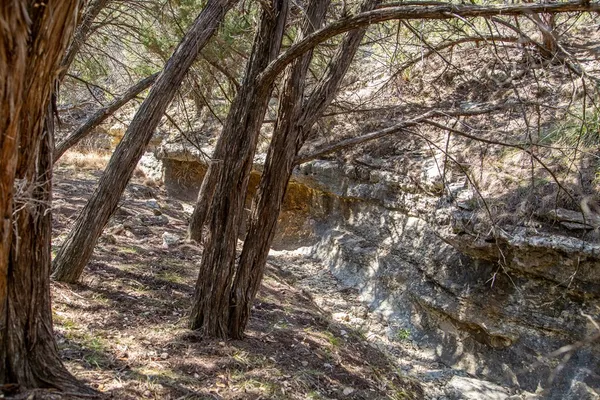 $1,895,000 | Tbd Tbd Other, Bulverde, TX 78163