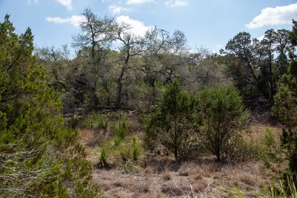 $1,895,000 | Tbd Tbd Other, Bulverde, TX 78163