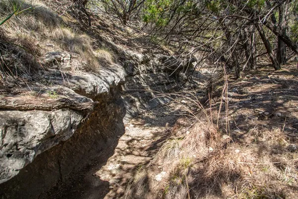 $1,895,000 | Tbd Tbd Other, Bulverde, TX 78163