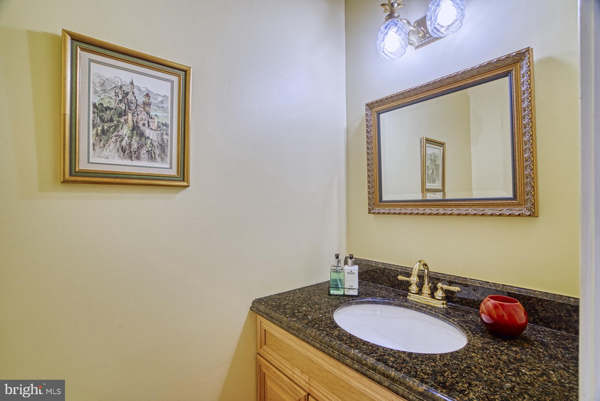 11133 Watermans Drive Reston, VA 20191 - Photo 16 of 56 Elegant Powder Room
