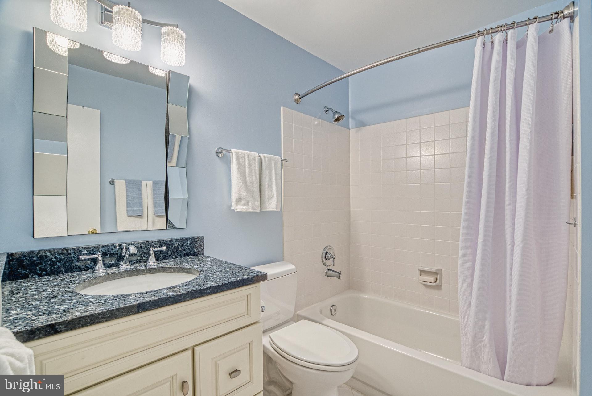 11133 Watermans Drive Reston, VA 20191 - Photo 18 of 56 Newly Renovated Hall Bathroom