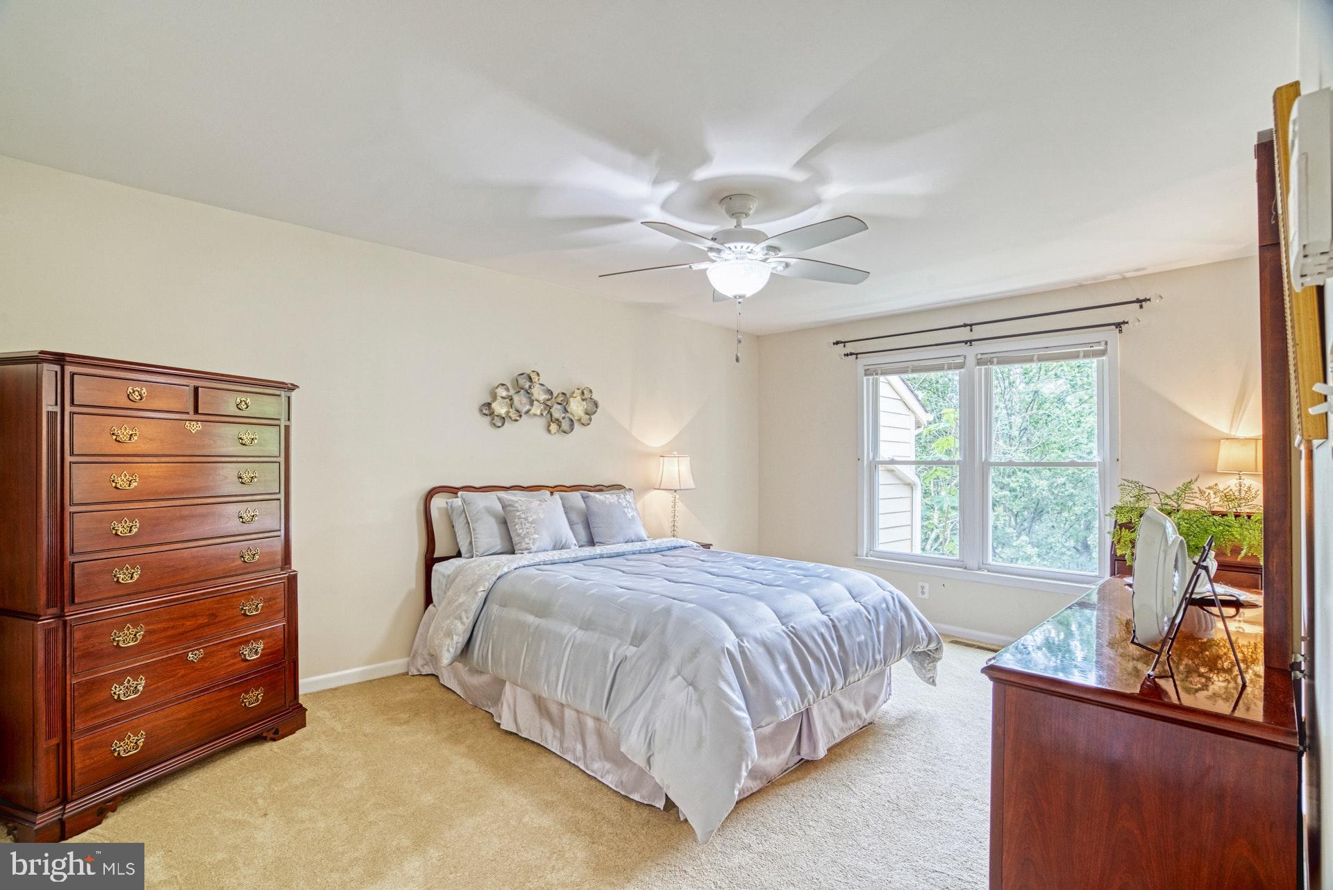 11133 Watermans Drive Reston, VA 20191 - Photo 20 of 56 Master/Primary Bedroom Suite has lake views