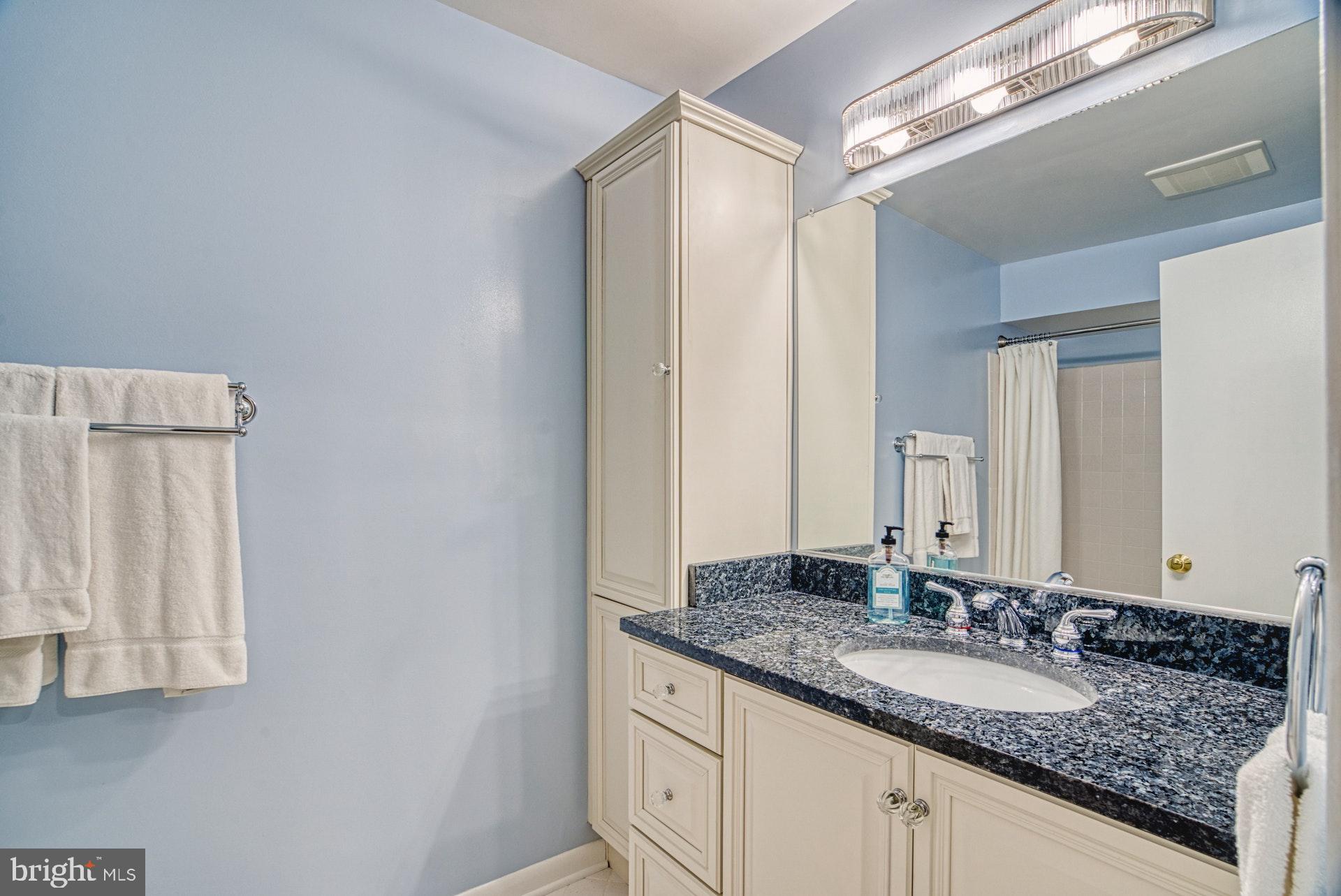 11133 Watermans Drive Reston, VA 20191 - Photo 23 of 56 Master/Primary Bathroom recently renovated