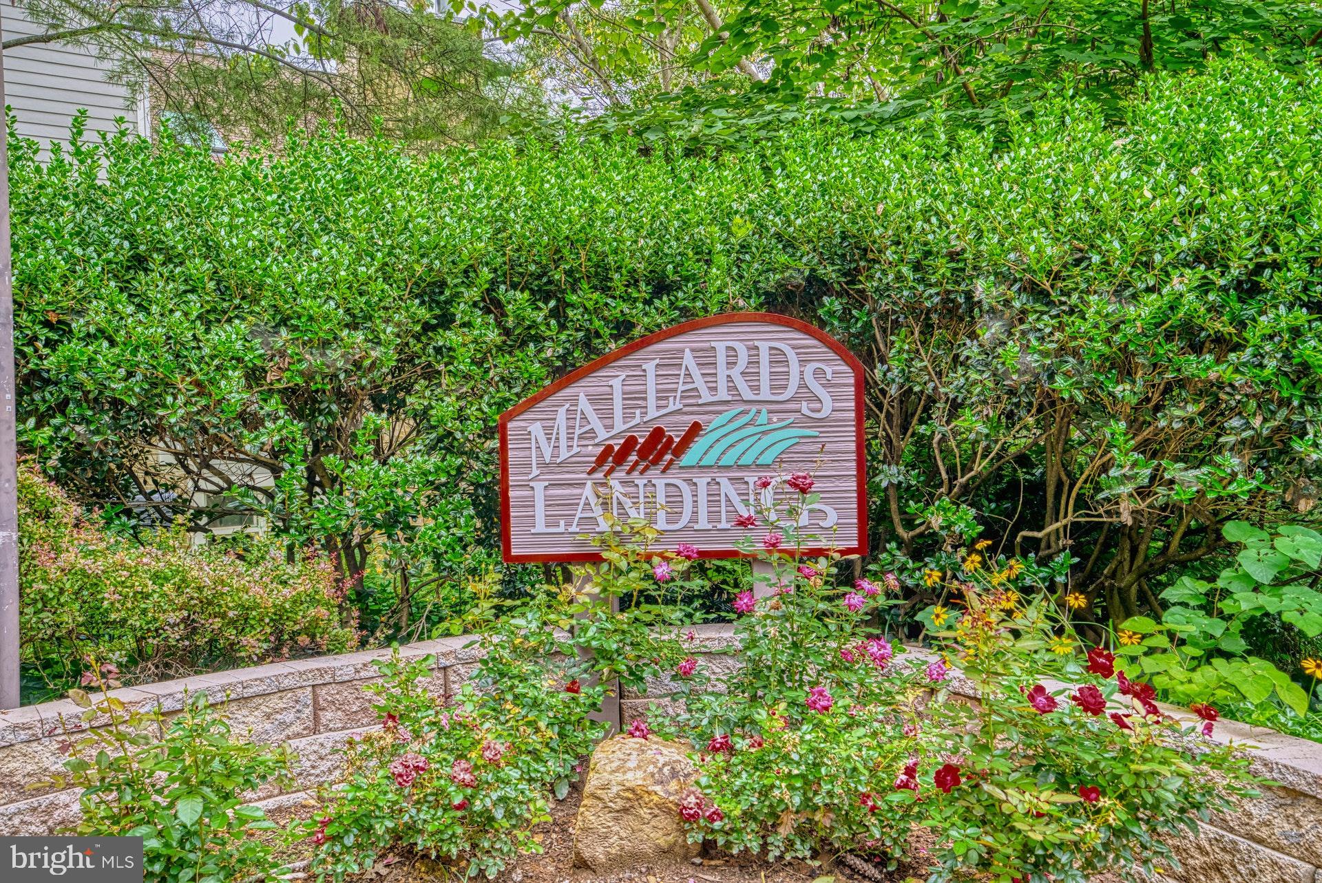 11133 Watermans Drive Reston, VA 20191 - Photo 38 of 56 Mallards Landing Cluster