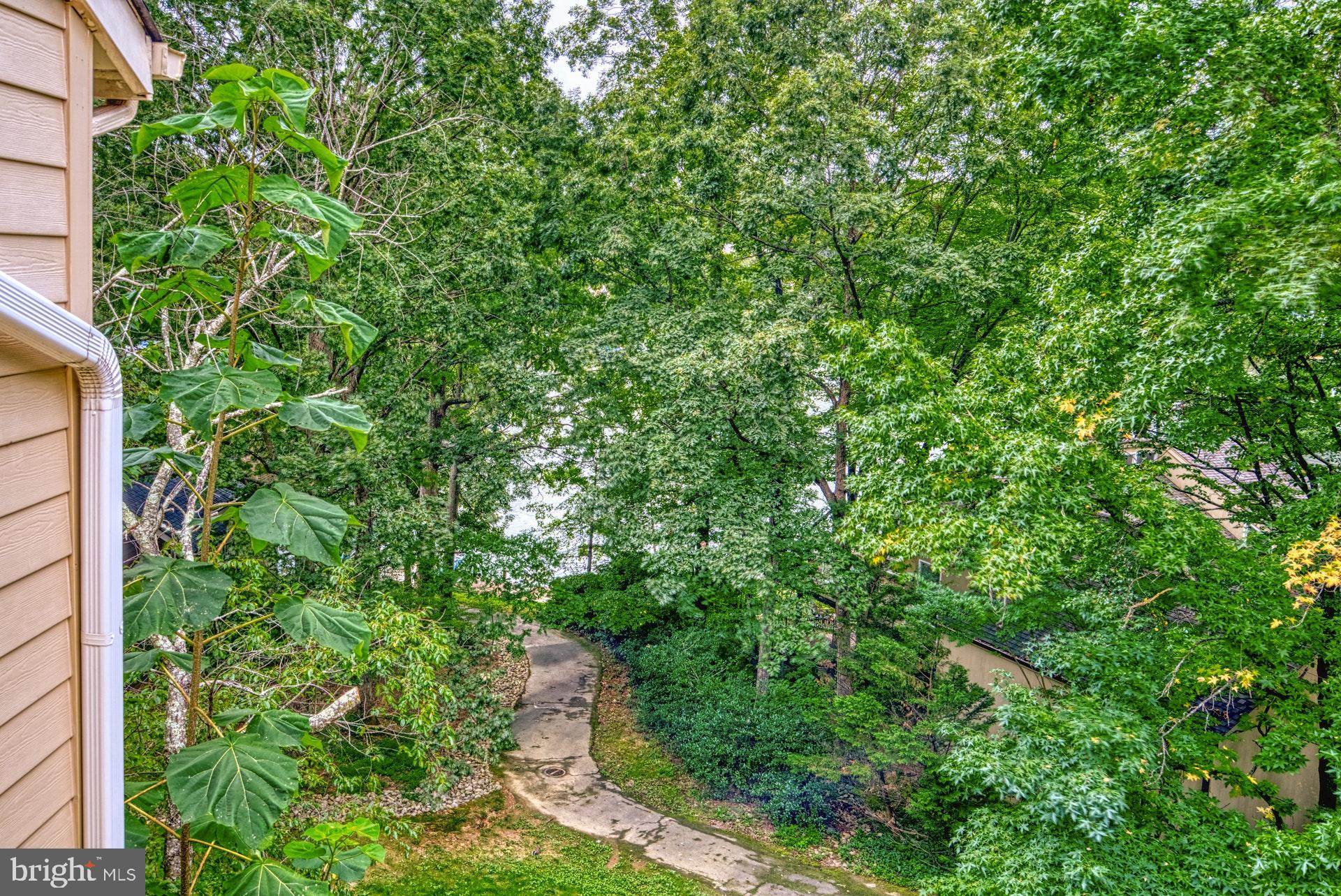 11133 Watermans Drive Reston, VA 20191 - Photo 9 of 56 Walking Path behind house