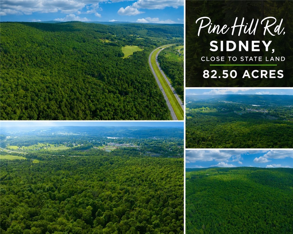 0 Pine Hill Road Unadilla, NY 13849 - Photo 1 of 20 Gallery Image 1