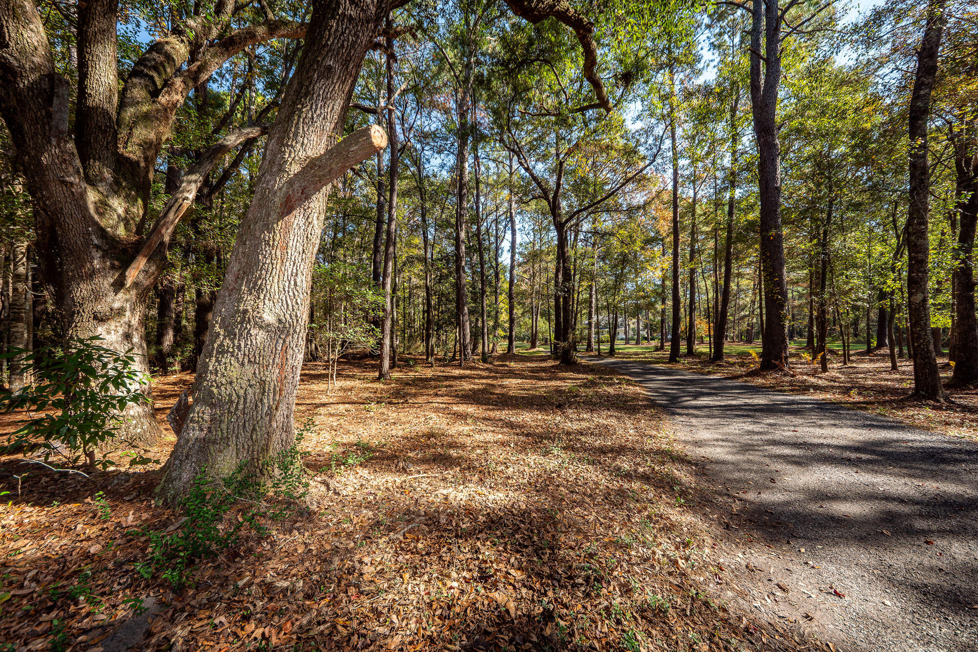5950 Lowell Reed Road Ravenel, SC 29470 - Photo 75 of 98 004