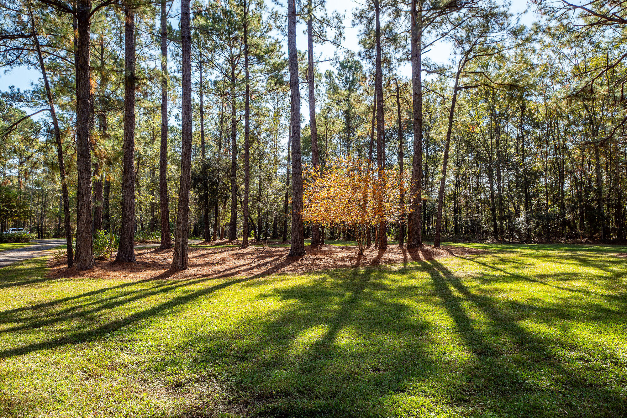 5950 Lowell Reed Road Ravenel, SC 29470 - Photo 78 of 98 010