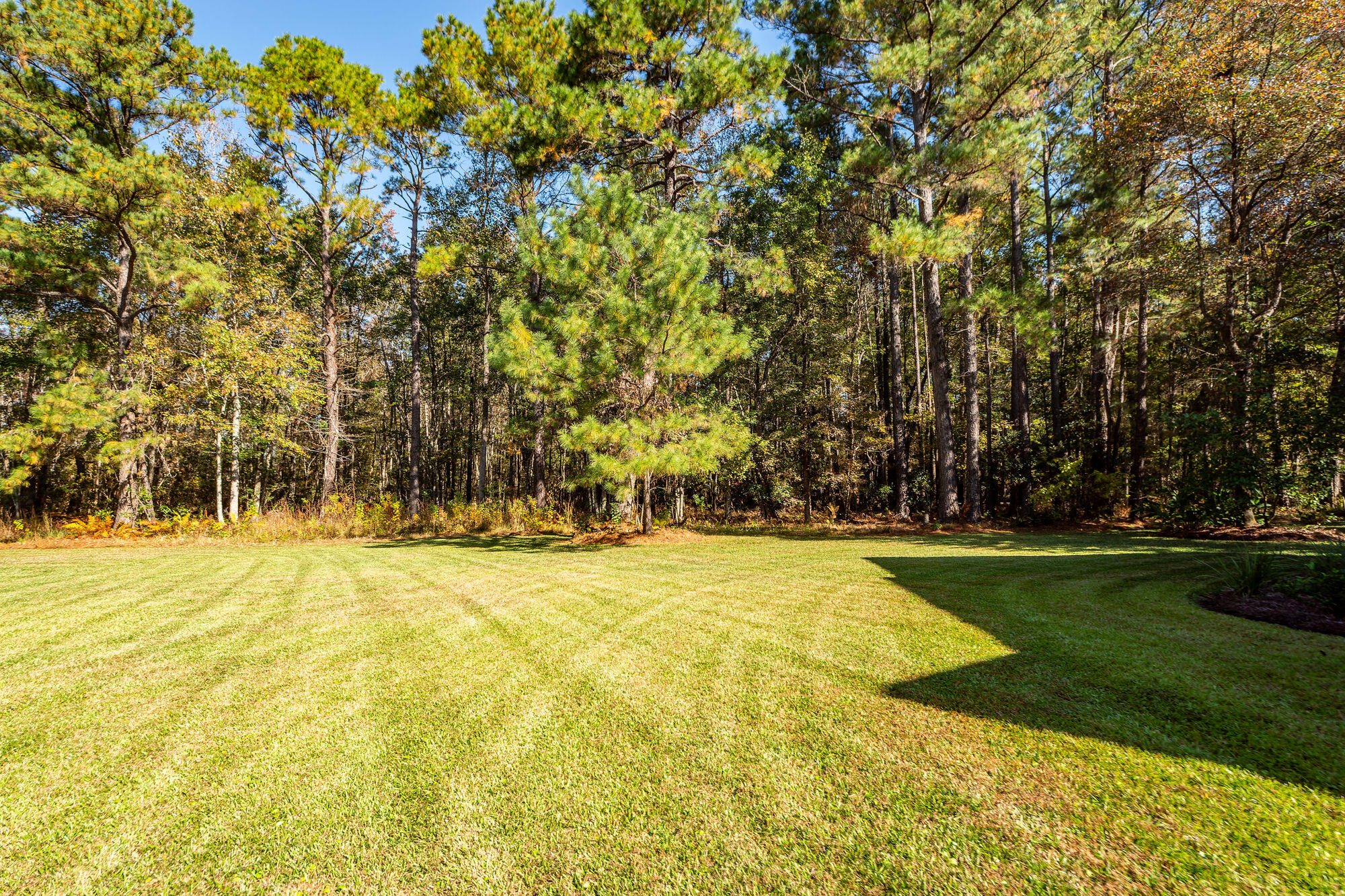 5950 Lowell Reed Road Ravenel, SC 29470 - Photo 82 of 98 021