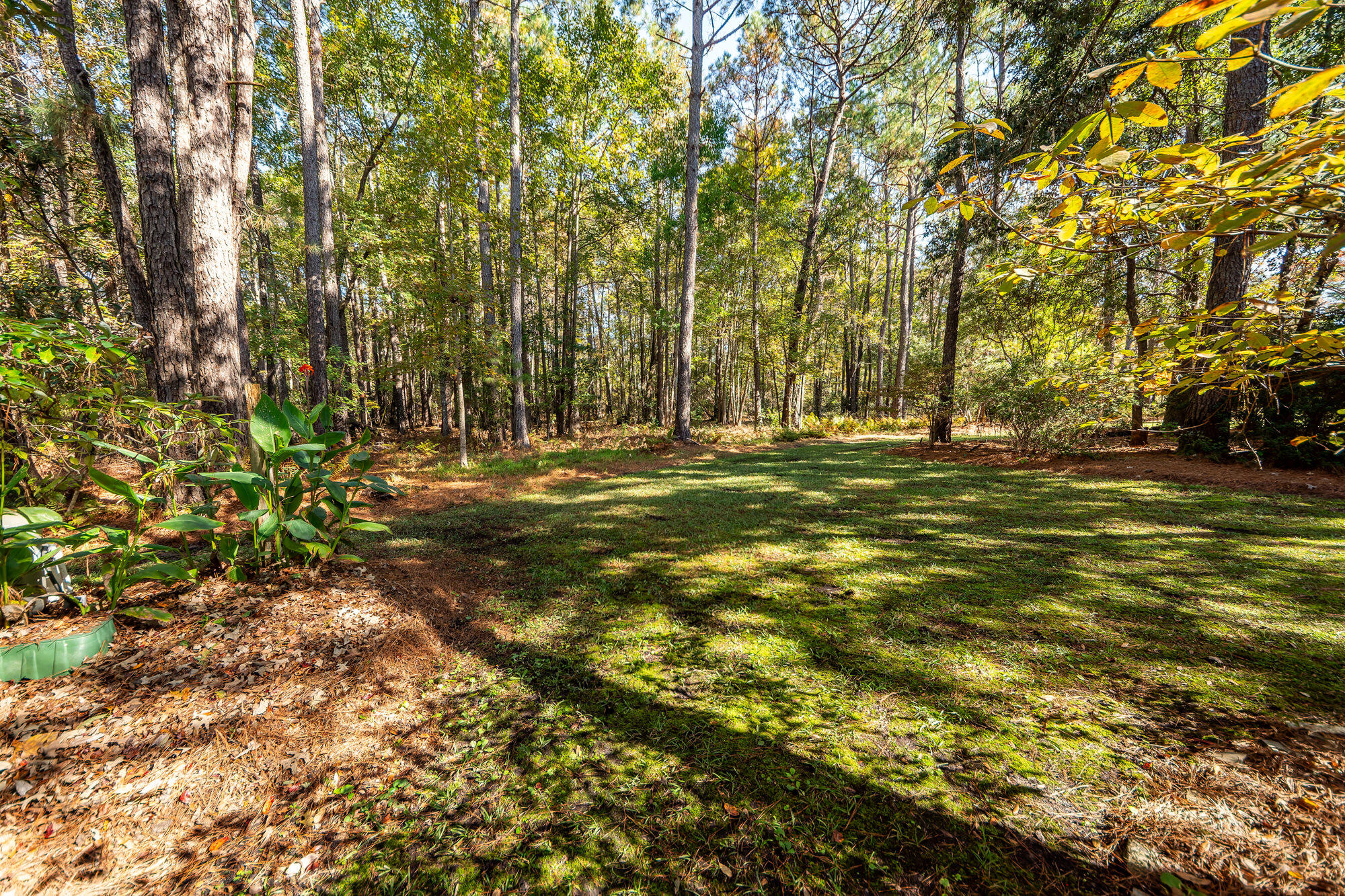 5950 Lowell Reed Road Ravenel, SC 29470 - Photo 83 of 98 025