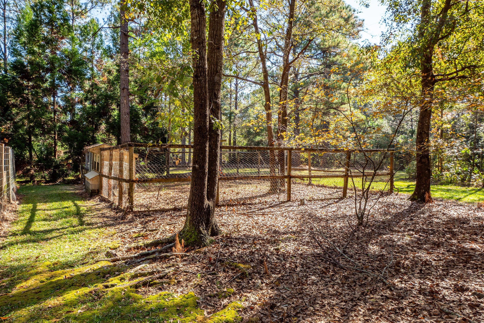 5950 Lowell Reed Road Ravenel, SC 29470 - Photo 91 of 98 035