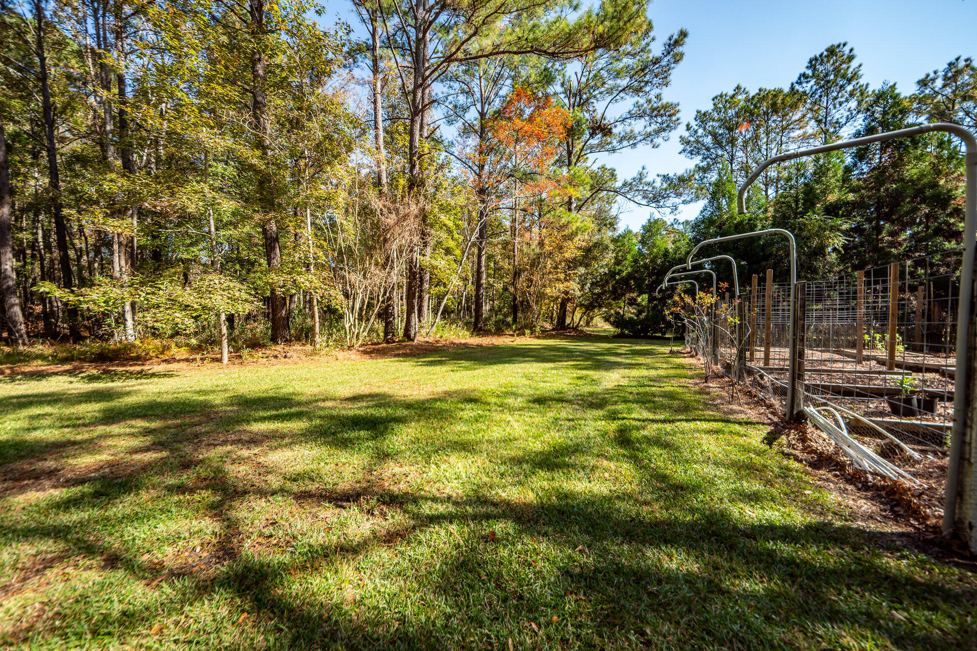 5950 Lowell Reed Road Ravenel, SC 29470 - Photo 95 of 98 036