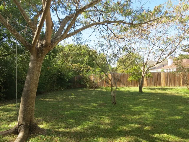 a view of a park with a tree