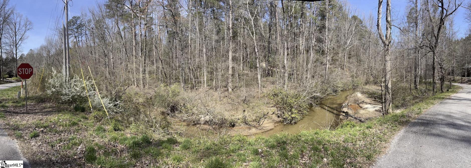 0 Gap Creek Road, Unit LOT 2 Marietta, SC 29661 - Photo 11 of 13