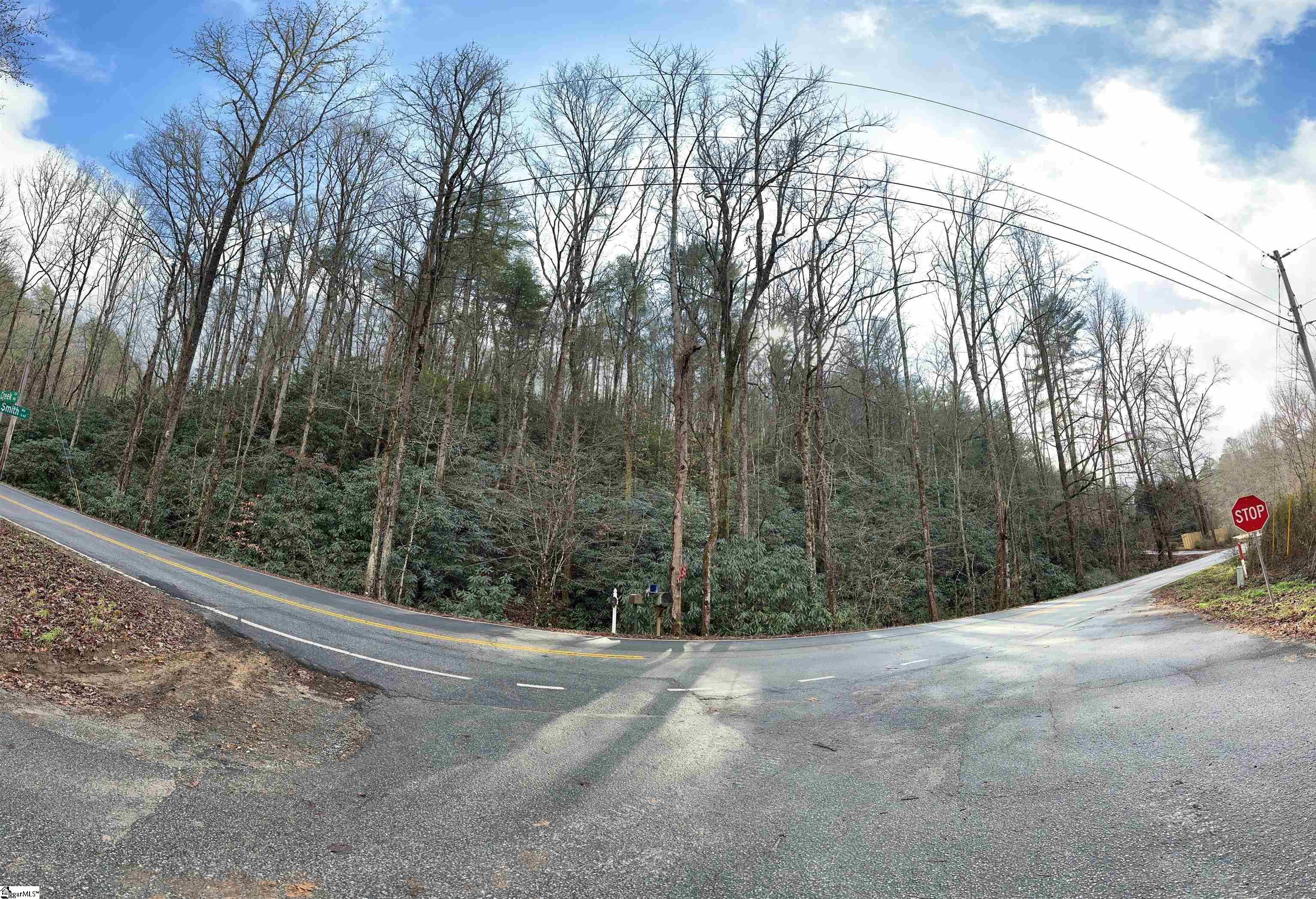 0 Gap Creek Road, Unit LOT 2 Marietta, SC 29661 - Photo 4 of 13