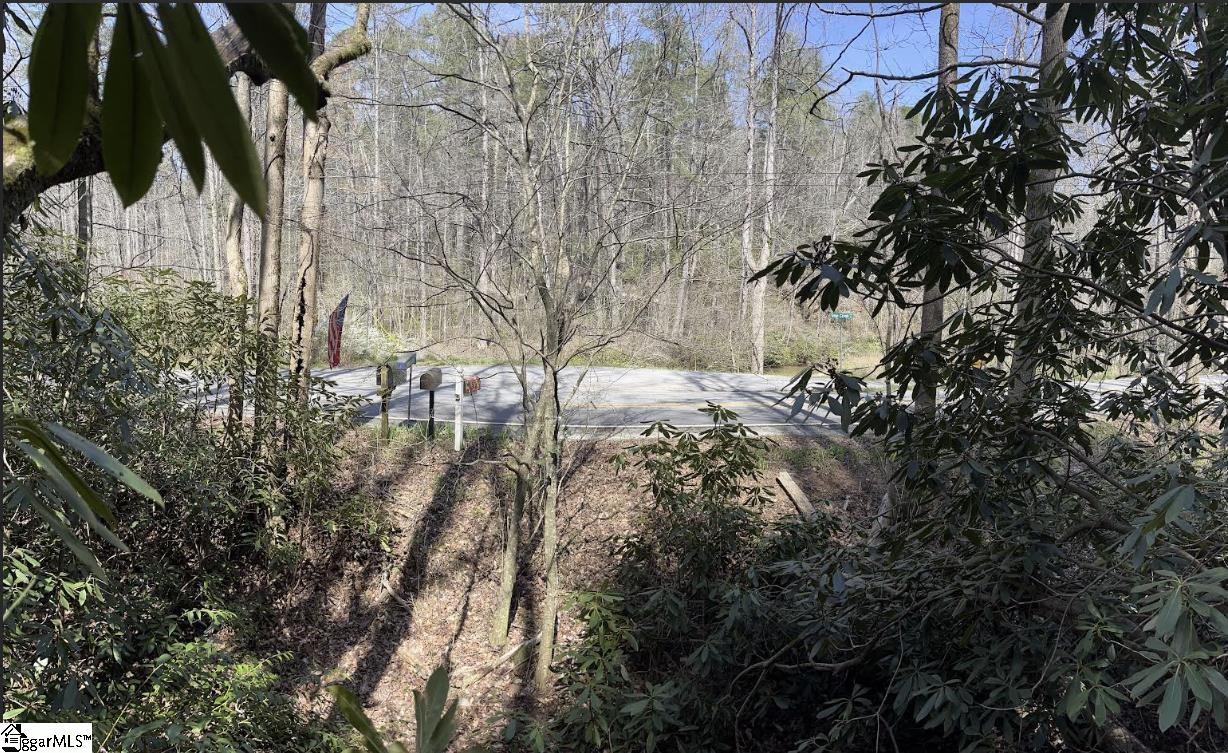 0 Gap Creek Road, Unit LOT 2 Marietta, SC 29661 - Photo 8 of 13