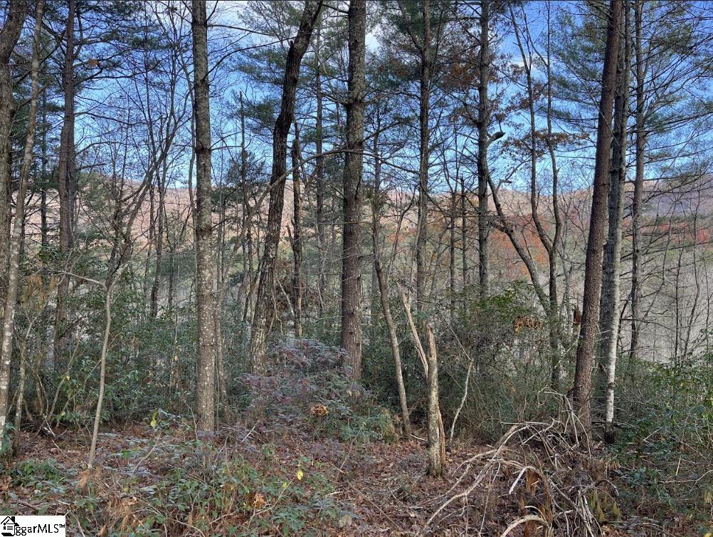 0 Gap Creek Road, Unit LOT 2 Marietta, SC 29661 - Photo 9 of 13