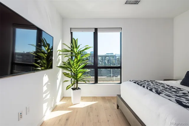 a bedroom with a large bed and a potted plant